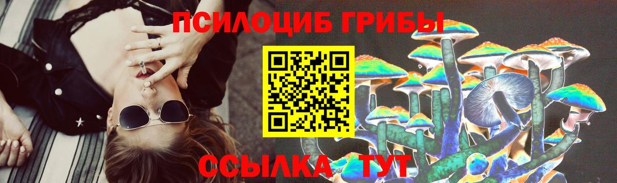 Кизляр  Псилоцибиновые грибы GOLDEN TEACHER  Вход с VPN  Галлюциногенные грибы Cubensis 